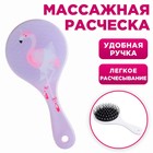 Массажная расческа круглая «Фламинго» круглая 16.5 х 8 см 4568488 - фото 5909939