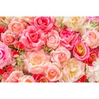 Фотобаннер, 250 × 200 см, с фотопечатью, люверсы шаг 1 м, «Розы» - фото 7243114