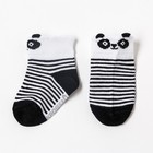 Носки детские Крошка Я «Панда», цвет белый/чёрный, 10-12 см - фото 2180556