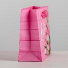 Пакет ламинированный горизонтальный «Женский день», S 15 × 12 × 5,5 см 4569588