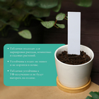 Бирки садовые для маркировки, 10 см, набор 20 шт., маркер, пластик, белые, Greengo 4497370