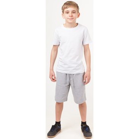 Шорты для мальчика, рост 104 см, цвет серый