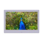 Фоторамка Digma PF-1043, 10.1", IPS, 1280x800, пластик, ПДУ, видео, белая Фоторамка Digma PF-1043, 10.1", IPS, 1280x800, пластик, ПДУ, видео, белая