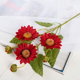 Цветы искусственные "Гербера Флора кустовая" 9*60 см, бордовый