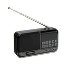 Радиоприемник Perfeo ASPEN, FM+ 87.5-108 МГц, MP3, USB, microSD, Li-ion 1200 мАч, серый 4823183 - фото 22763