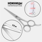 Scissors with a focus 5,5" blade 4.5 cm silver substrate QF