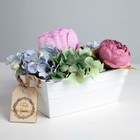 Кашпо подарочное, с ребрами, белый «», 24 х12,5 х 10 см Кашпо подарочное, с ребрами, белый «», 24 х12,5 х 10 см