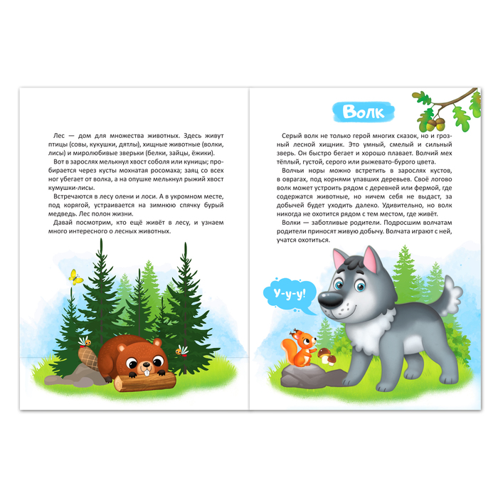 Набор книг обучающий про животных, 3 шт. по 12 стр. - фото 798436599