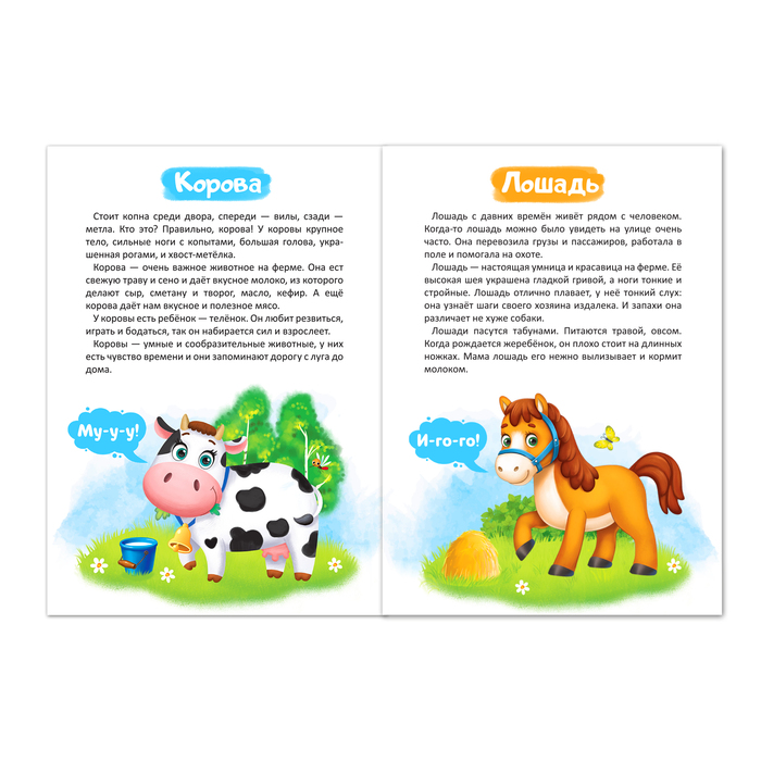 Набор книг обучающий про животных, 3 шт. по 12 стр. - фото 798436600