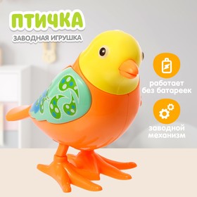 Игрушка заводная «Яркая птичка», МИКС в Донецке