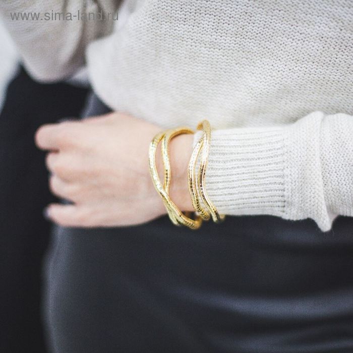 описание_картинки