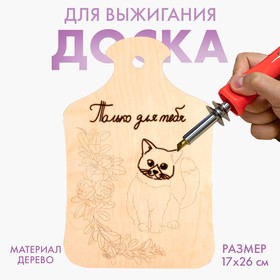 Доска для выжигания «Кот с букетом» в Донецке