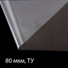 Плёнка полиэтиленовая, толщина 80 мкм, 100 × 3 м, рукав (1,5 м × 2), прозрачная, 1 сорт, Эконом 50 % - фото 1176480