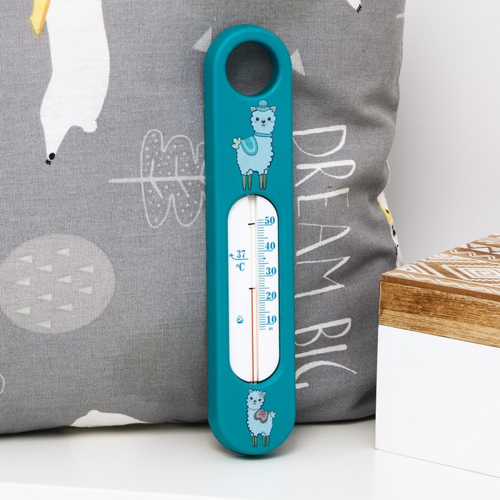 Термометр для измерения температуры воды, детский «Сувенир», цвет и рисунок МИКС