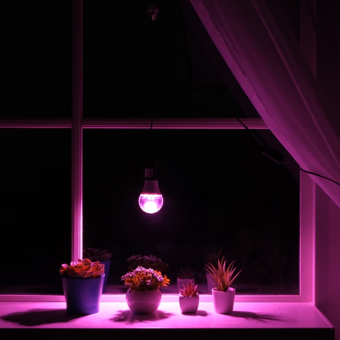 Светильник для растений 15 Вт, 12 мкмоль/с, провод 1,7 метра с выключателем, липучка на окно