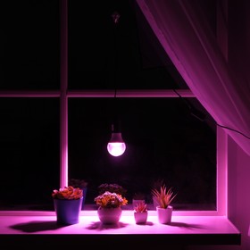 Светильник для растений 12 Вт, 10 мкмоль/с, провод 1,7 метра с выключателем, липучка на окно
