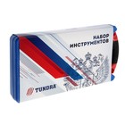 Набор инструментов в кейсе ТУНДРА, подарочная упаковка "Россия", CrV, 1/2", 19 предметов 4822377 Набор инструментов в кейсе ТУНДРА, подарочная упаковка "Россия", CrV, 1/2", 19 предметов 4822377