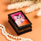 Box "White kitten on a pink plaid", 6×9 cm, lacquer miniature
