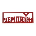 Медальница «Чемпион» с крючками, 30 х 10,5 см Медальница «Чемпион» с крючками, 30 х 10,5 см