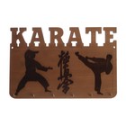 Медальница «Карате» с крючками, 30 х 20 см Медальница «Карате» с крючками, 30 х 20 см