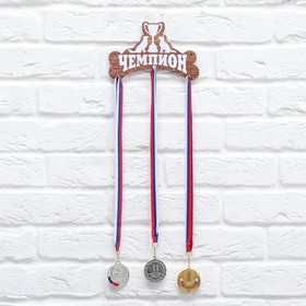 Медальница «Чемпион» с крючками, 20 х 12,9 см
