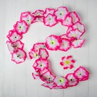 Hawaiian set of "Fresh", (necklace, hair clip light) Hawaiian set of "Fresh", (necklace, hair clip light)