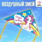 Воздушный змей «Следуй за мечтой» 50х80 см 4654441 - фото 5926054