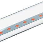 Фитолампа светодиодная, 9 Вт, 600 мм, IP20, сине-красный спектр, фиолетовая, «ЭРА» 4839261