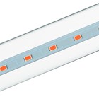 Фитолампа светодиодная, 18 Вт, 1200 мм, IP20, сине-красный спектр, фиолетовая, «ЭРА» 4839262