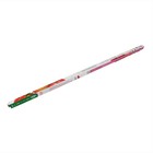 Фитолампа светодиодная, 18 Вт, 1200 мм, IP20, сине-красный спектр, фиолетовая, «ЭРА» 4839262