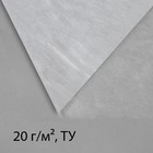 Материал укрывной, 5 × 3,2 м, плотность 20, с УФ-стабилизатором, белый, Greengo, Эконом 20% Материал укрывной, 5 × 3,2 м, плотность 20, с УФ-стабилизатором, белый, Greengo, Эконом 20%