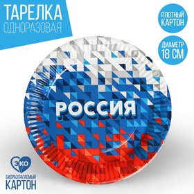 Тарелка бумажная «Россия» в Донецке