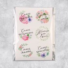 Наклейки для букетов, «Самой чудесной», 16 х 9,3 см 4669493