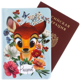 Паспортная обложка, Disney