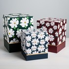 Набор подарочных коробок 3 в 1 «Цветы», 17 × 14 × 14‒25 × 18 × 18 см - фото 6905976