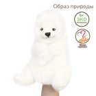 Белый медведь, игрушка на руку, 31 см - фото 107192900