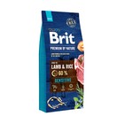 Сухой корм Brit Premium by Nature Sensitive Lamb для собак, ягнёнок, 15 кг - фото 8106568