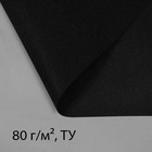 Полоса защитная для междурядий, плотность 80, УФ, 0,3 × 10 м, чёрный, Greengo, Эконом 20 % Полоса защитная для междурядий, плотность 80, УФ, 0,3 × 10 м, чёрный, Greengo, Эконом 20 %