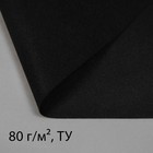 Полоса защитная для междурядий, плотность 80, УФ, 0,3 × 5 м, чёрный, Greengo, Эконом 20% Полоса защитная для междурядий, плотность 80, УФ, 0,3 × 5 м, чёрный, Greengo, Эконом 20%
