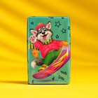 Шоколад молочный «Усатики-Хвостатики», 12 г (42 шт) - фото 802904992