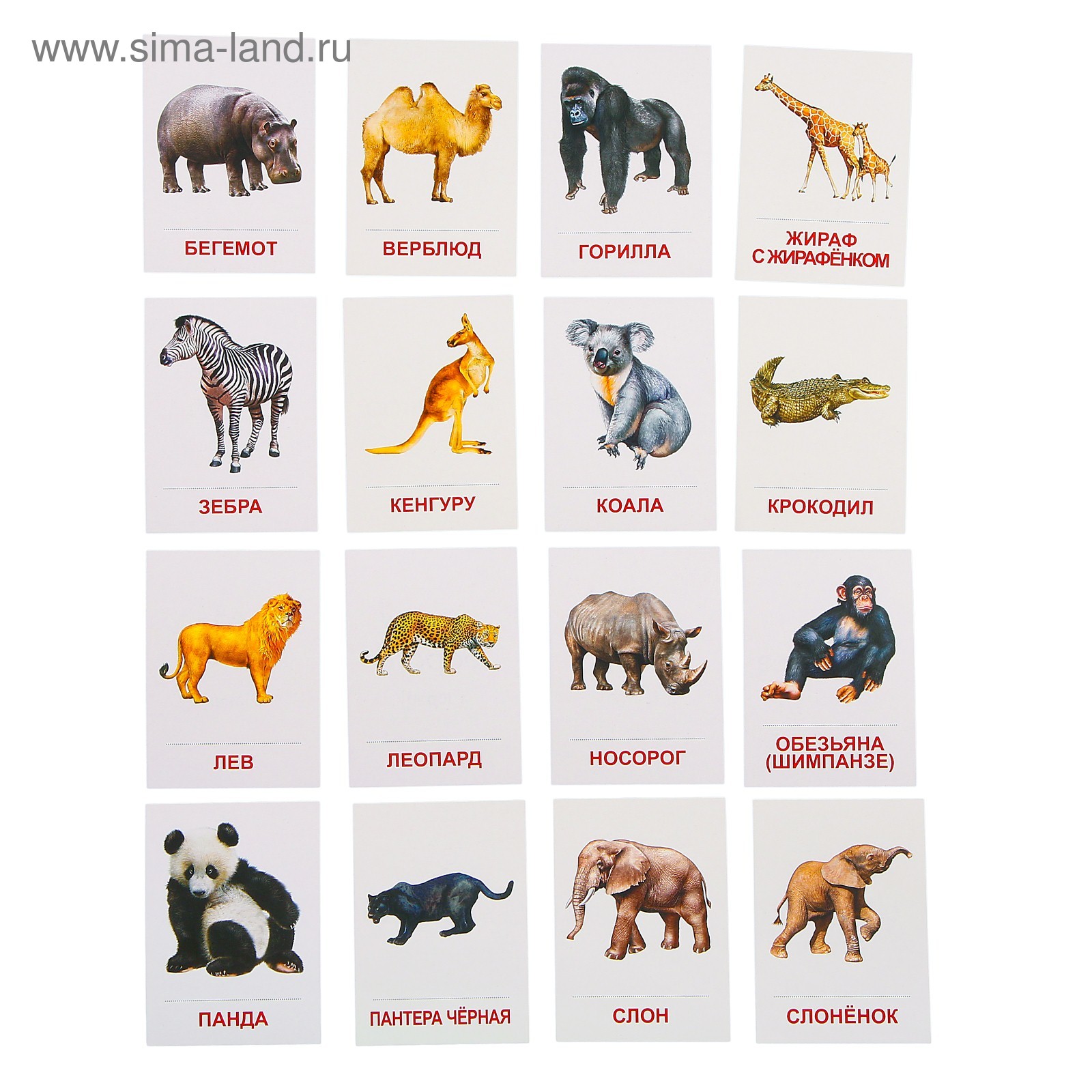 Карточки Домана животные Африки /животные тёплых стран