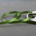 Лента атласная, 6 мм × 27 м, цвет зелёный травяной Лента атласная, 6 мм × 27 м, цвет зелёный травяной