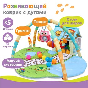 Развивающий коврик «Домик для игрушек», с дугами + шары, р - р 95х90х0,5 см.