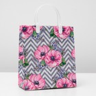 Пакет "Рандеву", мягкий пластик, 23 х 27 см, 150 мкм 4962445