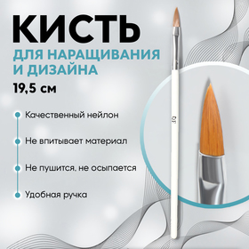 Кисть для наращивания и дизайна ногтей «Лепесток», 19,5 см, ворс 18 × 5 мм, в пластиковом футляре, цвет белый