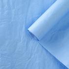 Бумага упаковочная, "Эколюкс", сливовый, 0,7 x 5 м 4972002