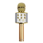 Микрофон для караоке Belsis MA3001BE, Bluetooth, FM, microSD, цвет золото - фото 7843868