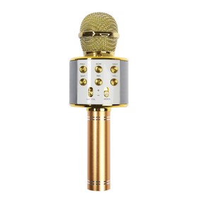Микрофон для караоке Belsis MA3001BE, Bluetooth, FM, microSD, цвет золото
