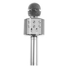 Микрофон для караоке Belsis MA3001BE, Bluetooth, FM, microSD, серебристый - фото 6884087