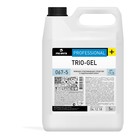 Моющее средство Trio-gel с хлором, 5л 4965585 - фото 6973794